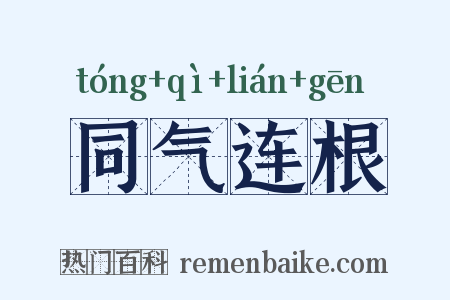 同气连根是什么意思的图片